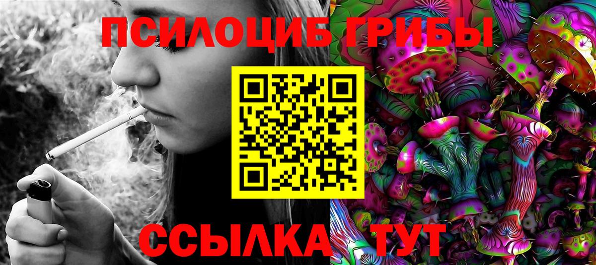 Губаха  Псилоцибиновые грибы GOLDEN TEACHER  Вход с VPN 