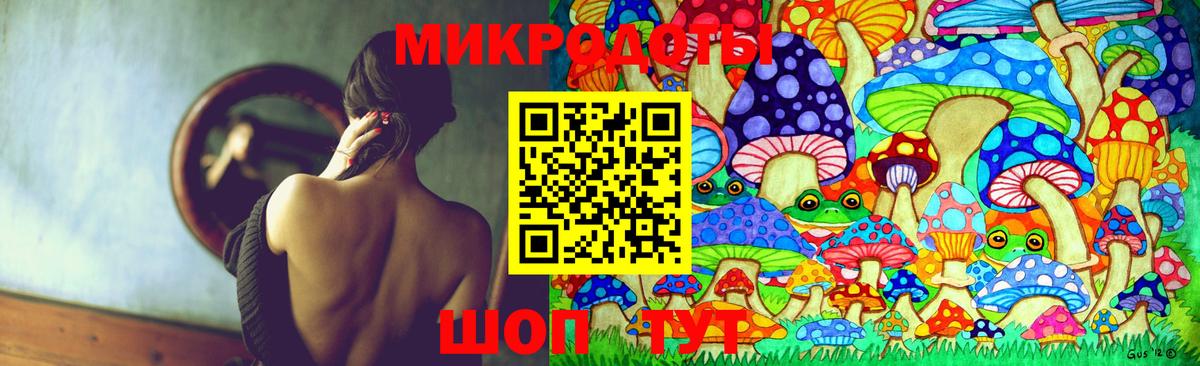 Галлюциногенные грибы прущие грибы Губаха